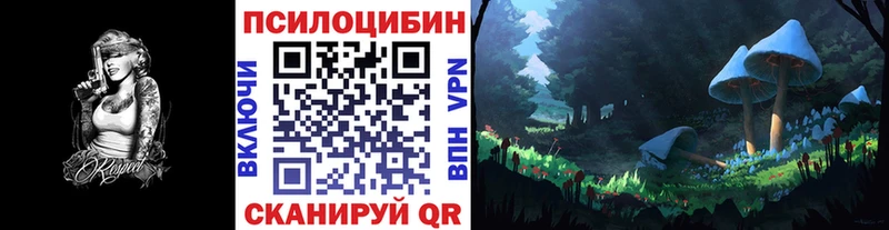 Псилоцибиновые грибы Psilocybine cubensis  Ковдор 